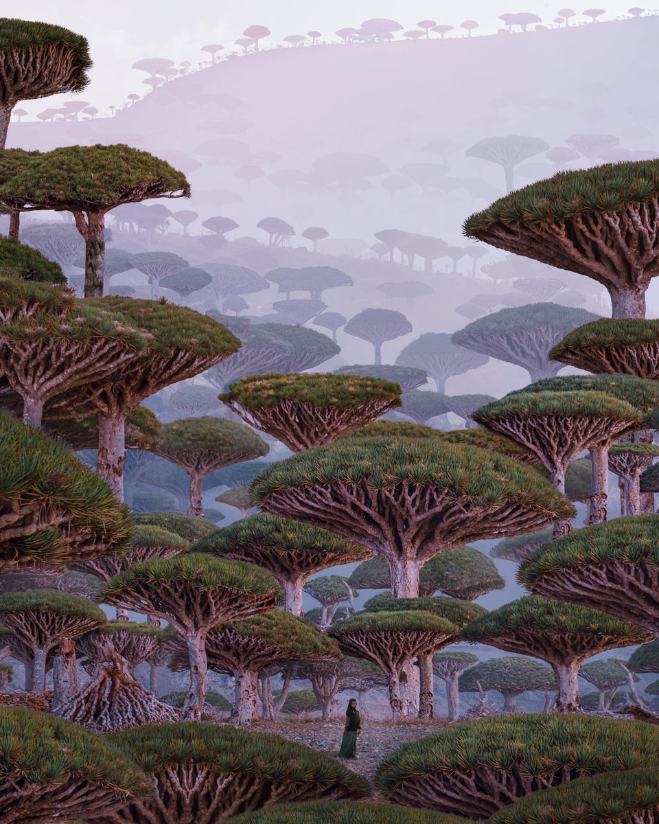 https://alphauniverseglobal.media.zestyio.com/-Sony24-70mm28-Lens_11_Socotra.jpg?height=1200&fit=bounds