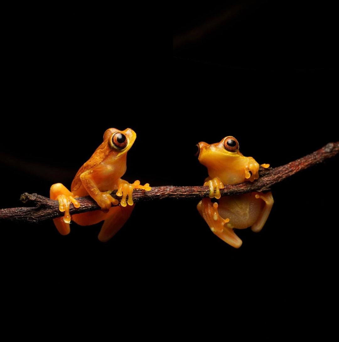 Alpha Female Micro-Grant Winner-Theme: The Little Things- Sandy Stolzman