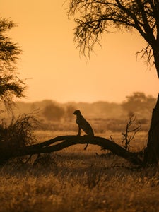 Our Wildlife theme micro-grant winner,  Emma Kulkarni.