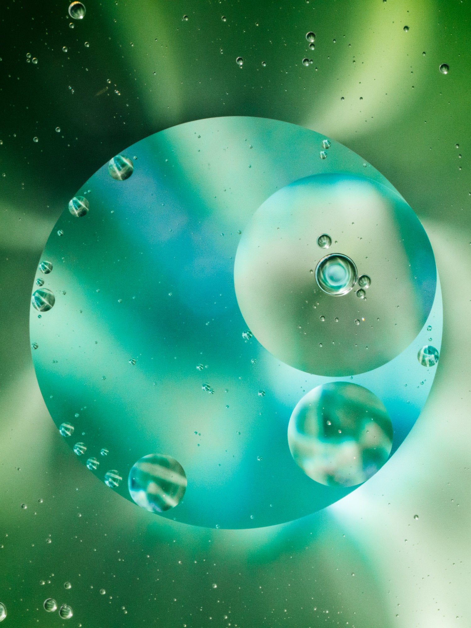 Photo by Erin Sullivan. Alpha 1. 100mm f/2.8 Macro G Master. 1/400-sec., f/16, ISO 1600 Photo by Erin Sullivan. Alpha 1. 100mm f/2.8 Macro G Master. 1/400-sec., f/16, ISO 1600