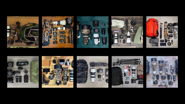 10 camera kits for bird and wildlife photography