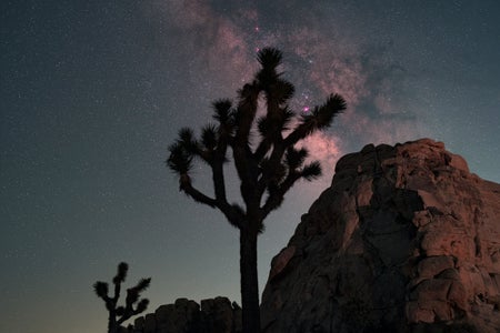 https://alphauniverseglobal.media.zestyio.com/Alpha-Universe-500-RULE-3-STANMONIZ-PHOTOGRAPHY.jpg?height=300&fit=bounds