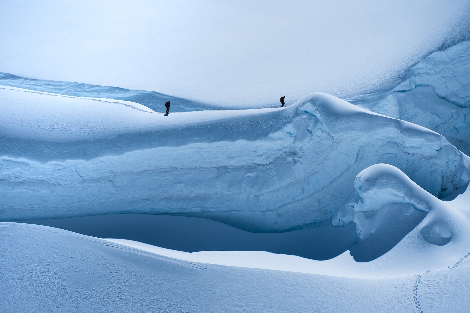 Photo by Peter O'Hara. Sony Alpha 7C II.