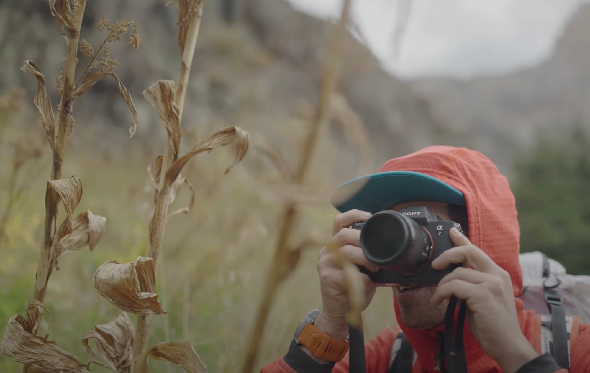 Review Roundup: The New Sony Alpha 7 IV