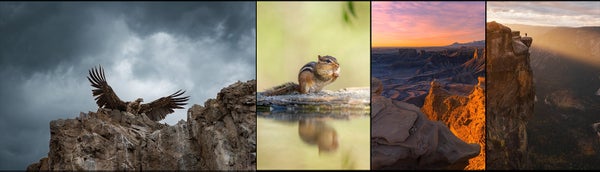 Alpha Female+ Winners