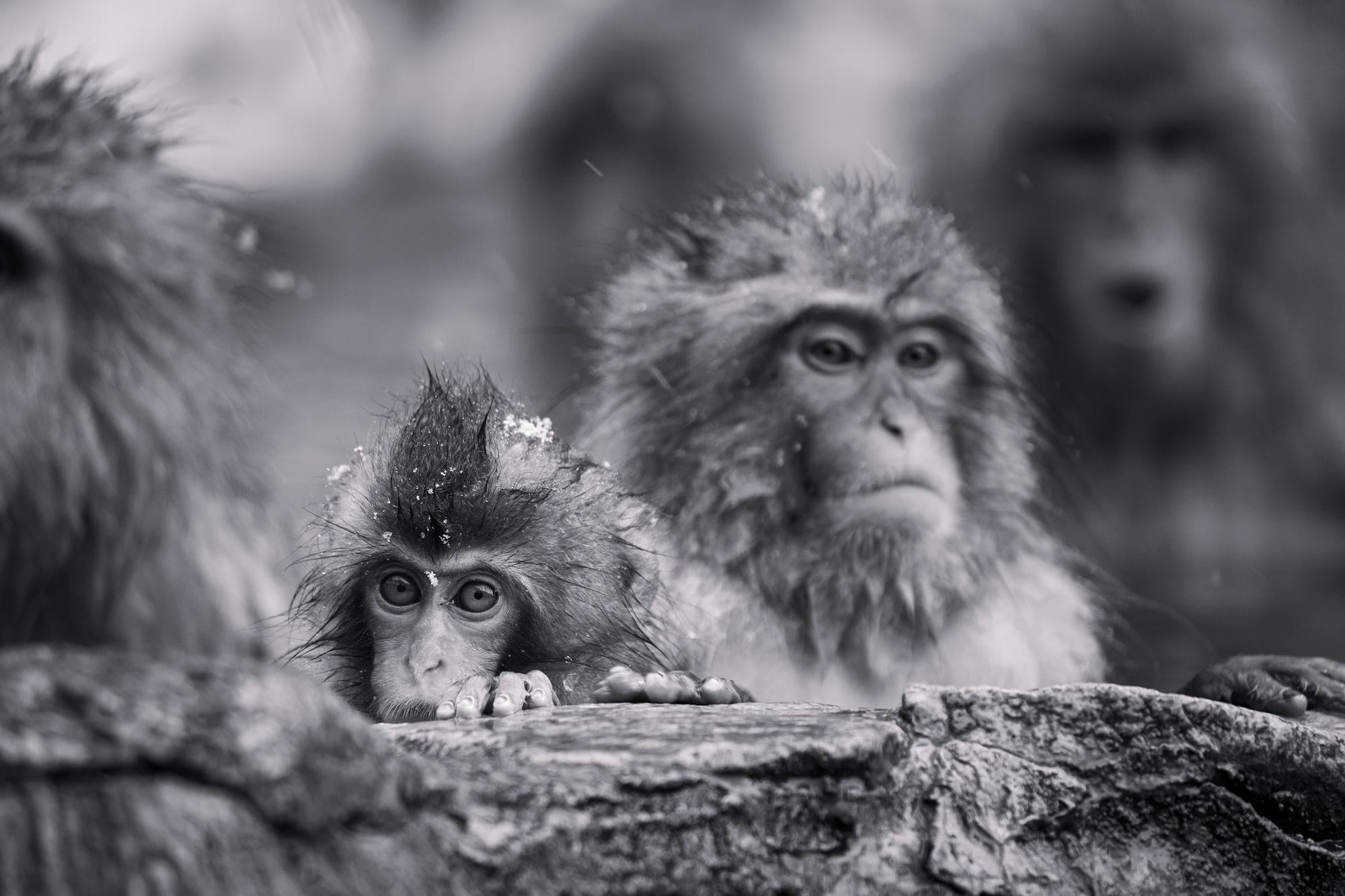 Photo by Dani Sanchez. Sony Alpha 7 III.