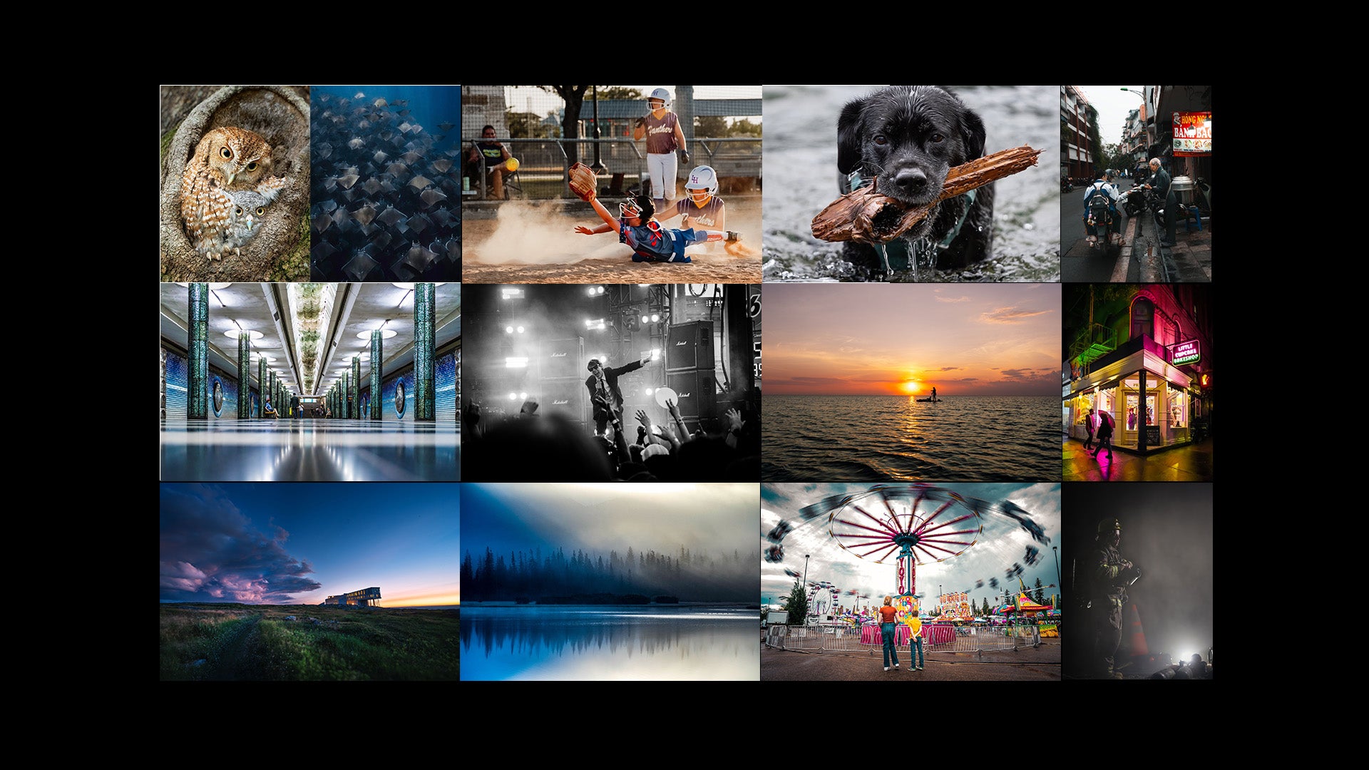 Alpha Female+ Micro-Grant: Latest $500 Winners & How To Enter