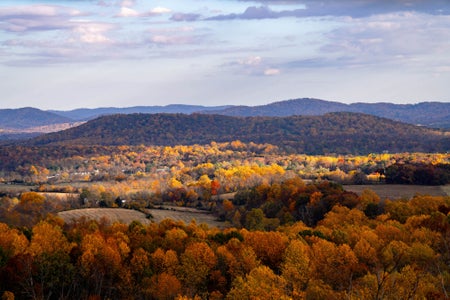 https://alphauniverseglobal.media.zestyio.com/Alpha-Universe-Andrew-Geraci-FallRoadTrip-7.jpg?height=300&fit=bounds