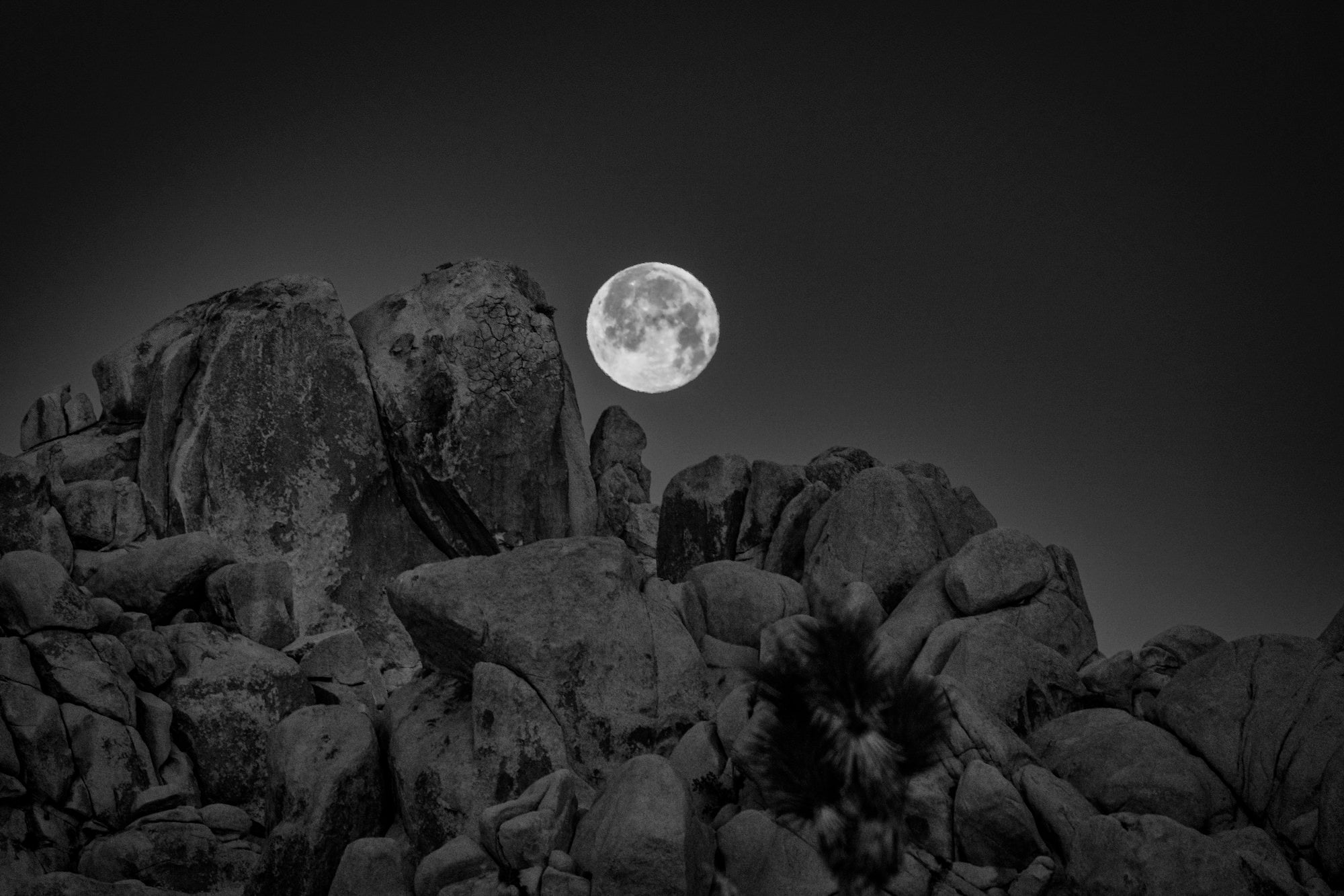 Photo by Andy Katz. Sony Alpha 7R V. Sony 100-400mm f/4.5-5.6 G Master. 1/80-sec., f/14, ISO 400