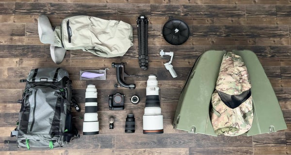 Annalise Kaylor's gear for bird and wildlife photography