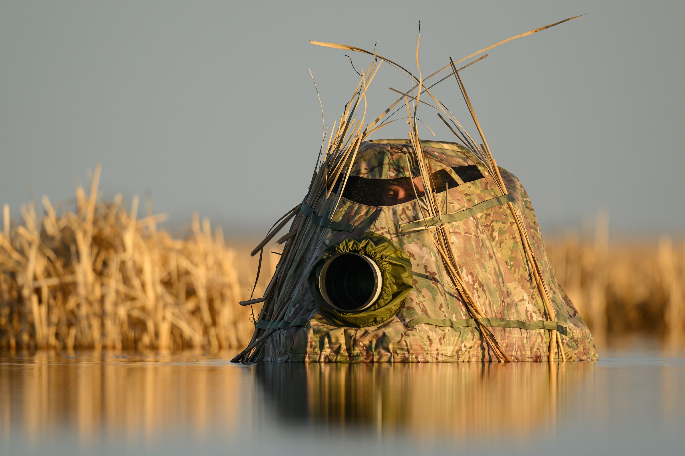 Annalise Kaylor's bird & wildlife setup