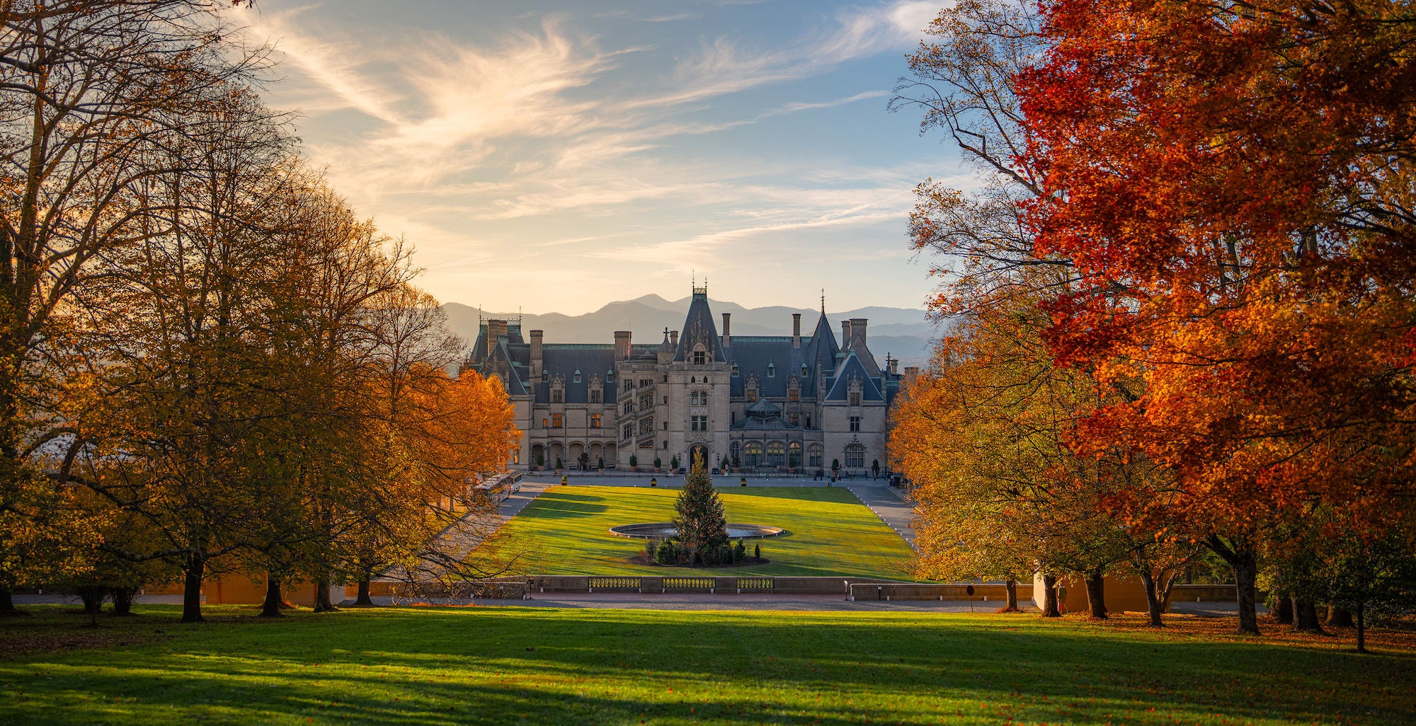 Photo by Drew Geraci