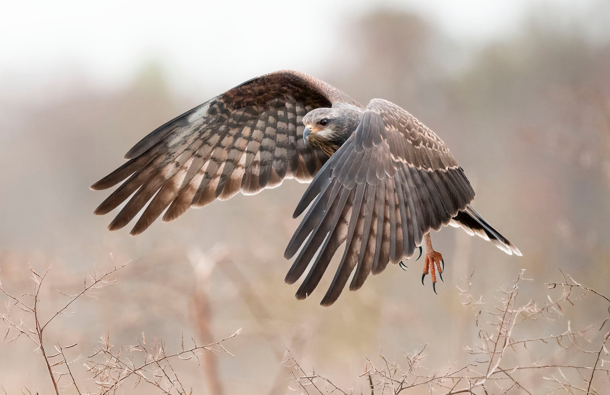 Photo by Matt Kloskowski