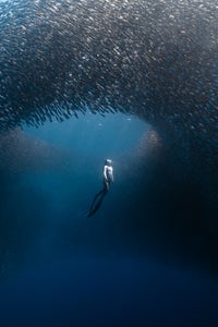 https://alphauniverseglobal.media.zestyio.com/Alpha-Universe-BTS-Benjami-n-Ya-var-Sardine-Run.JPG?height=300&fit=bounds