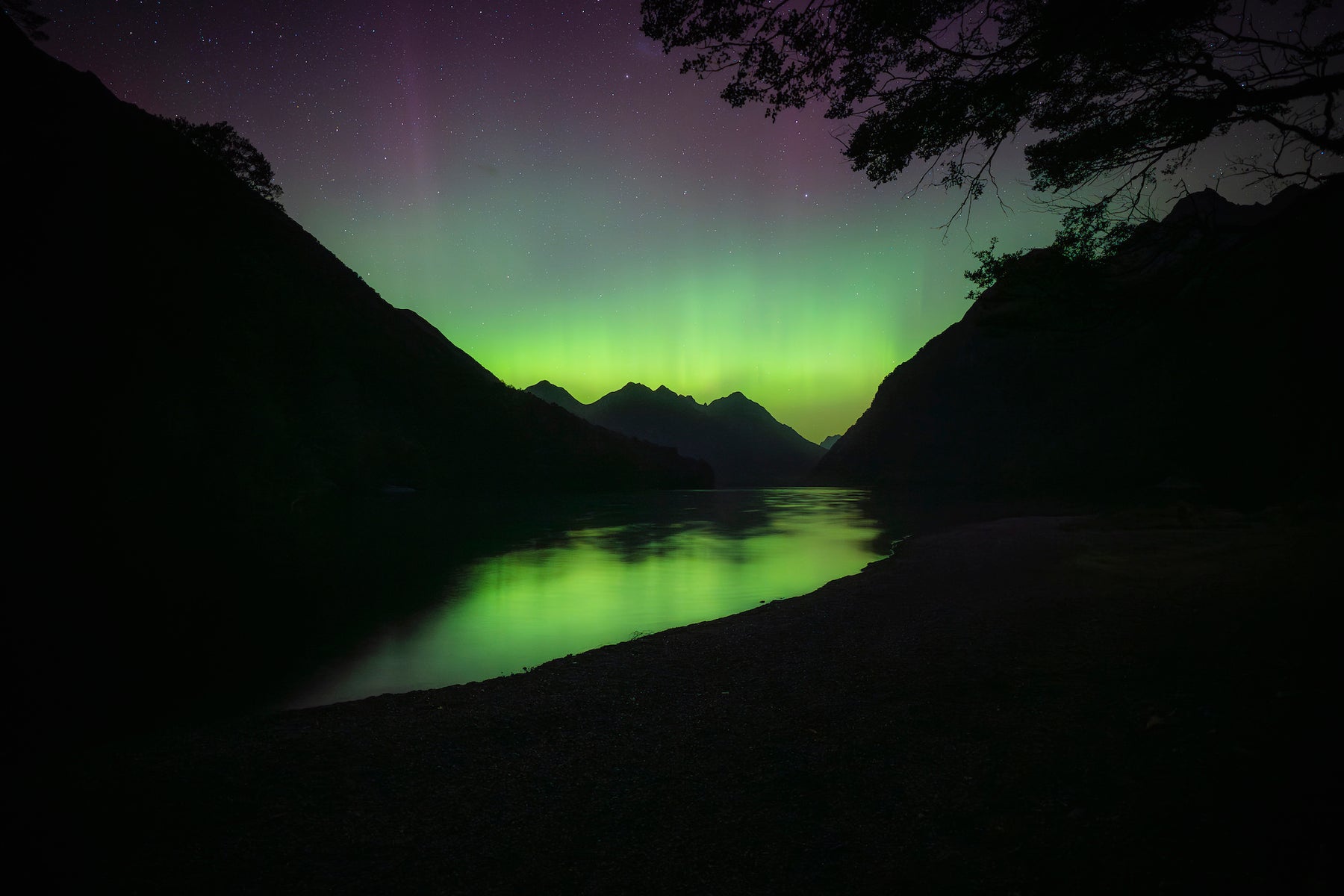 https://alphauniverseglobal.media.zestyio.com/Alpha-Universe-BTS-Cam-Stables-Aurora-Exta-03.jpg?height=1200&fit=bounds