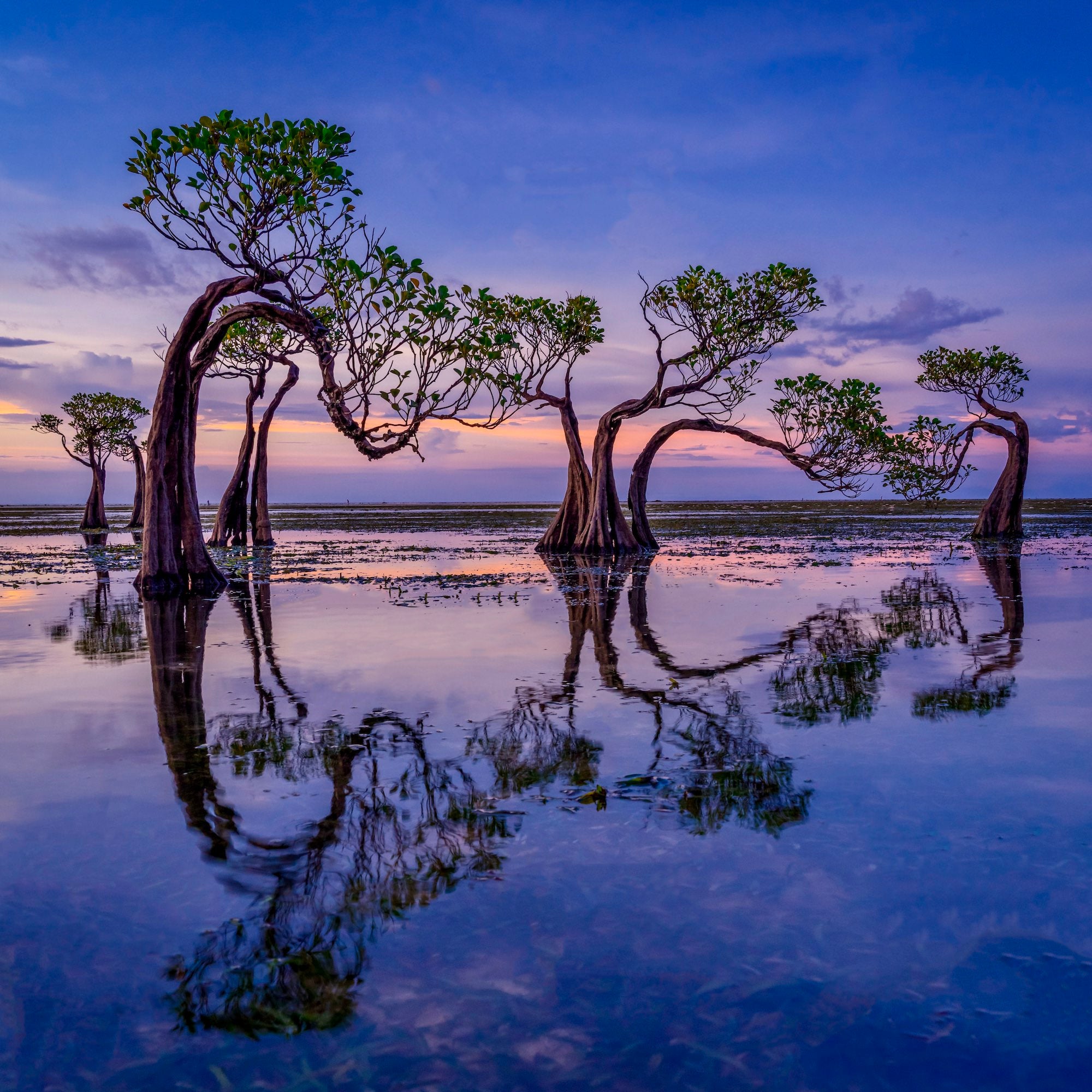 Photo by Criz Quinn. Sony Alpha 1. Sony 24-105 f/4 G. 1/60-sec., f/10, ISO 640