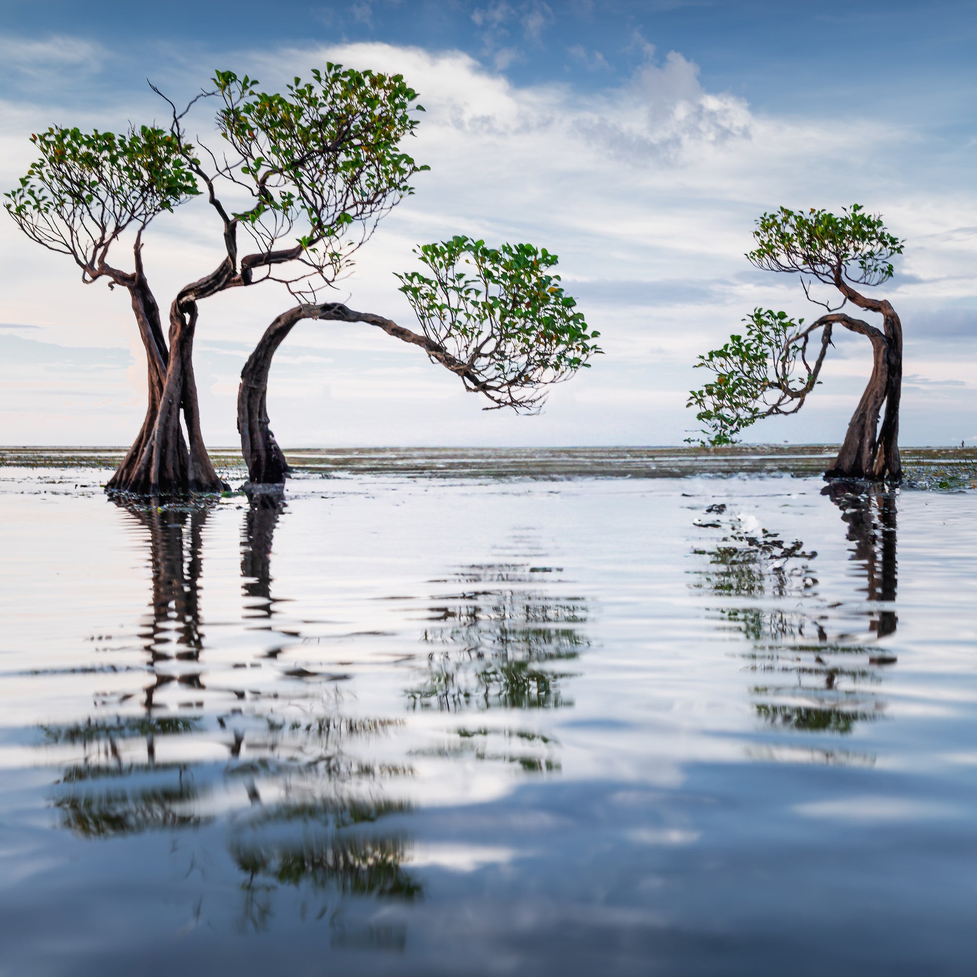 Photo by Criz Quinn. Sony Alpha 1. Sony 24-105mm f/4 G. 1/15-sec., f/6.3, ISO 200