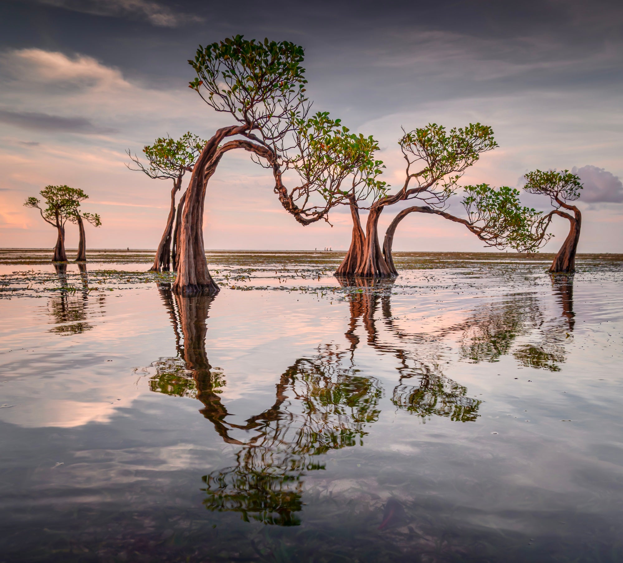 Photo by Criz Quinn. Sony Alpha 1. Sony 24-105mm f/4 G. 1/40-sec., f/9, ISO 640