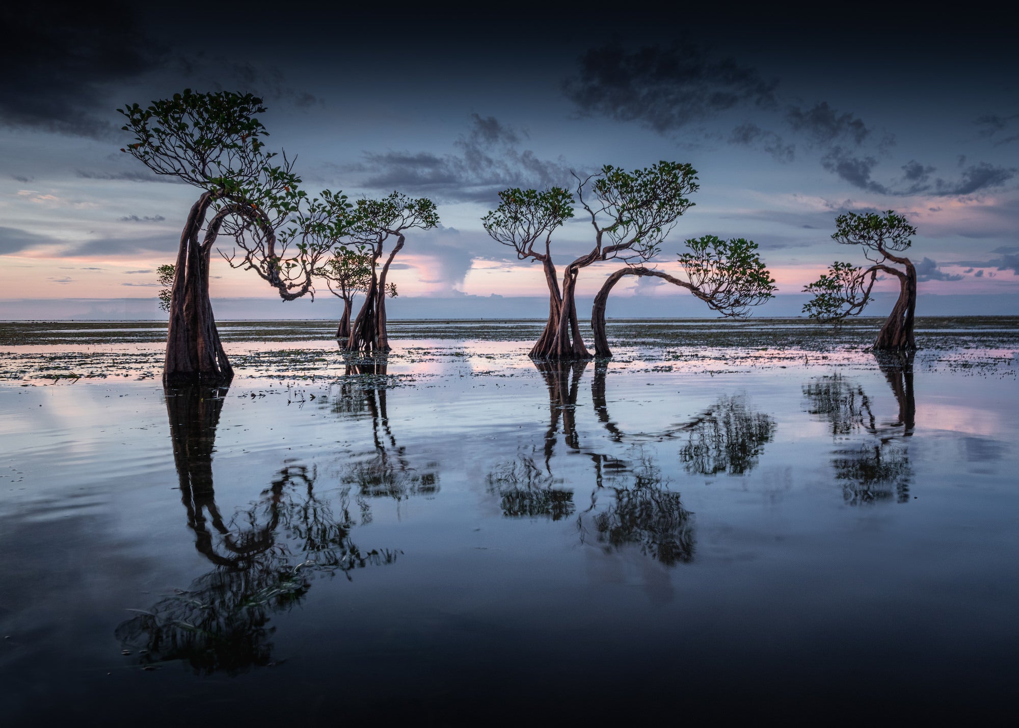 Photo by Criz Quinn. Sony Alpha 1. Sony 24-105mm f/4 G. ⅛-sec., f/14. ISO 640