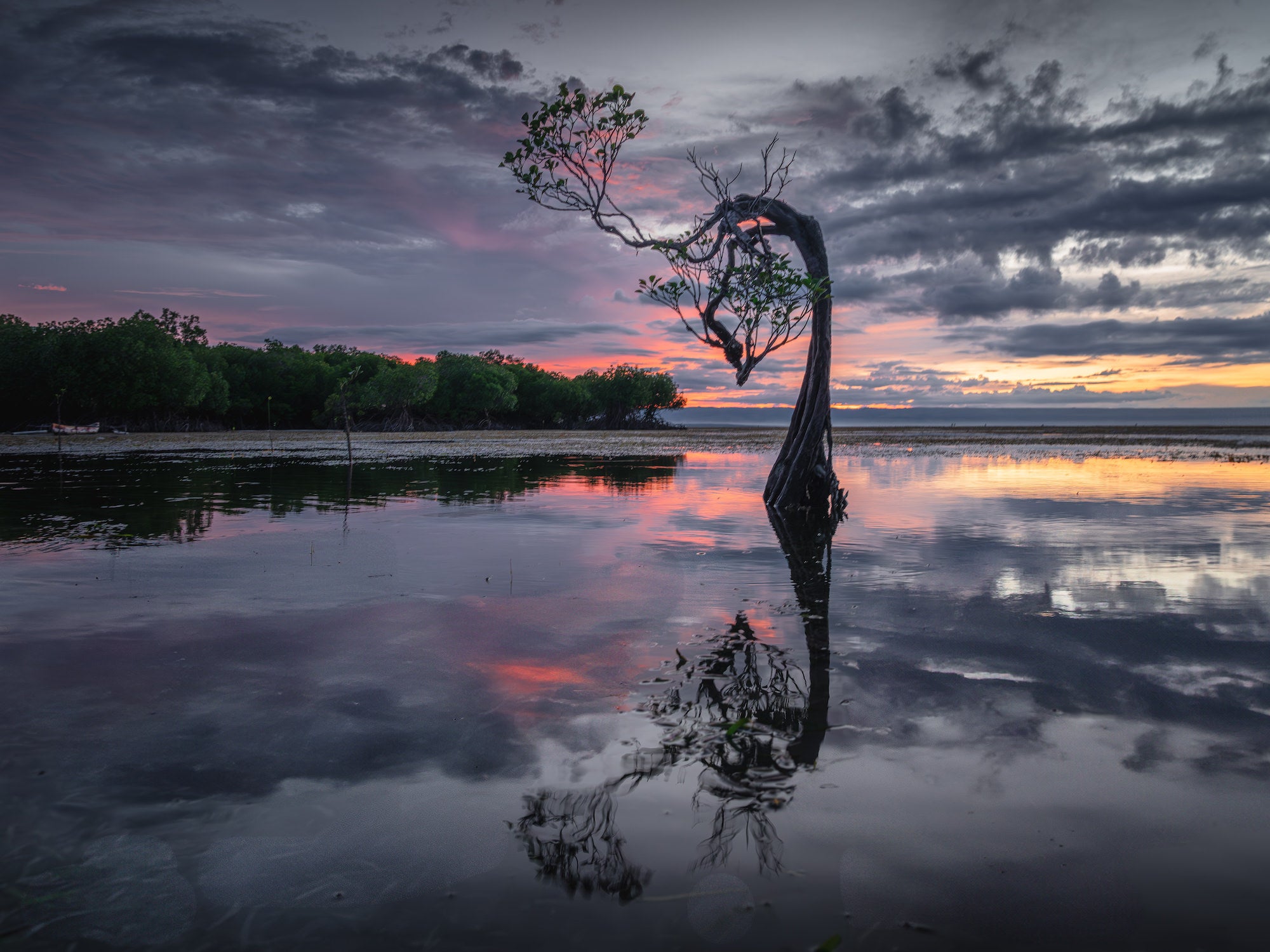 Photo by Criz Quinn. Sony Alpha 1. Sony 24-105mm f/4 G. 1/13-sec., f/8, ISO 640