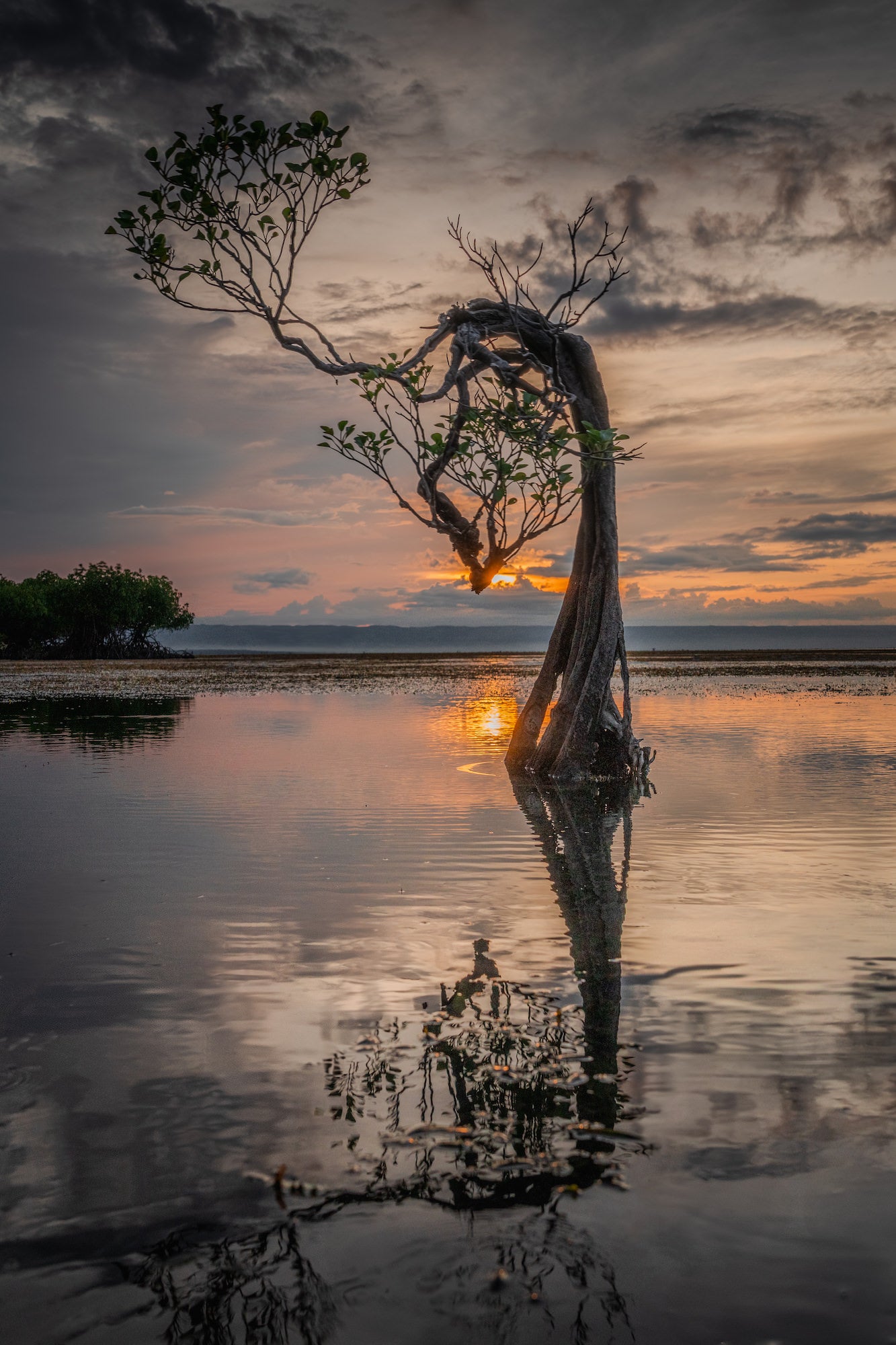 Photo by Criz Quinn. Sony Alpha 1. Sony 24-105 f/4 G. 1/640-sec., f/9, ISO 640