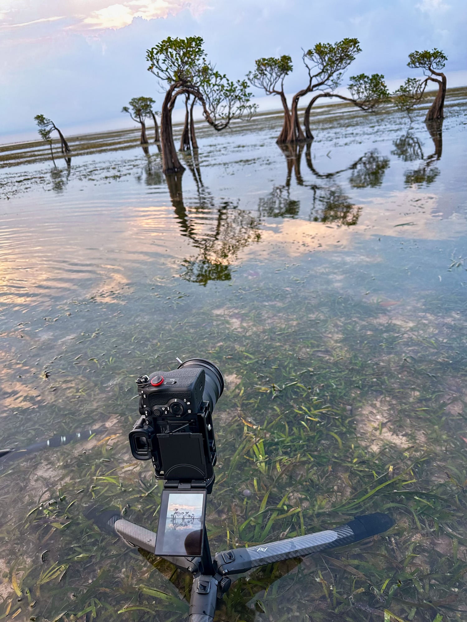 Criz Quinn go-to travel setup – her Sony Alpha 1 and Sony 24-105mm f/4 G