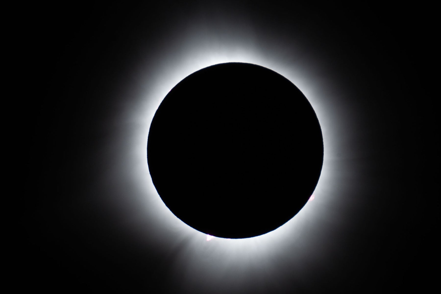 https://alphauniverseglobal.media.zestyio.com/Alpha-Universe-BTS-Damian-Chlanda-1.jpg?height=1200&fit=bounds