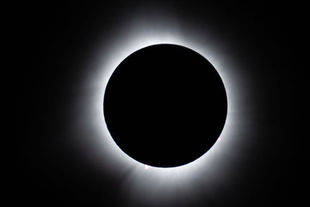 https://alphauniverseglobal.media.zestyio.com/Alpha-Universe-BTS-Damian-Chlanda-1.jpg?height=300&fit=bounds