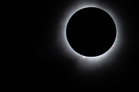 https://alphauniverseglobal.media.zestyio.com/Alpha-Universe-BTS-Damian-Chlanda-2.jpg?height=300&fit=bounds