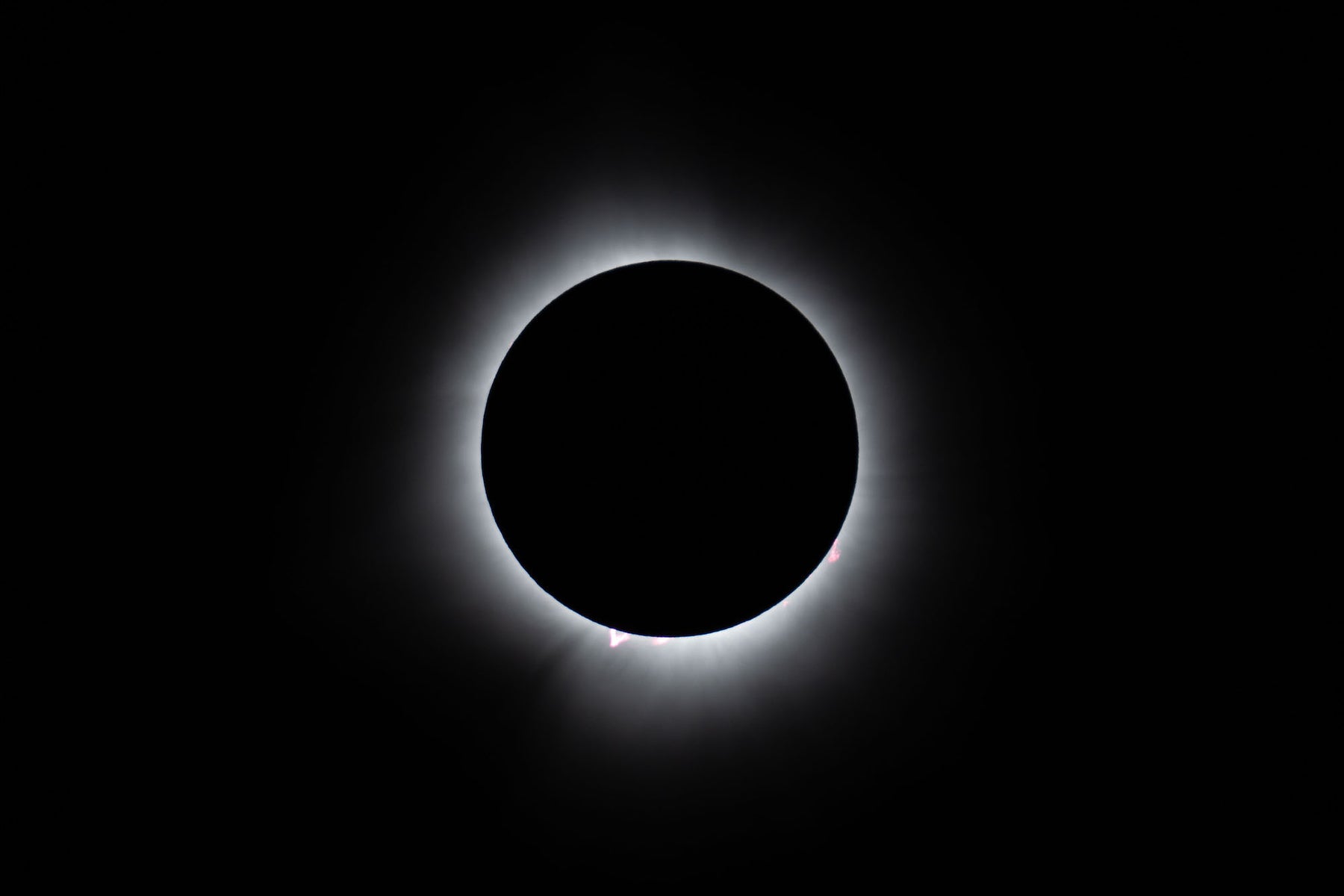 https://alphauniverseglobal.media.zestyio.com/Alpha-Universe-BTS-Damian-Chlanda-3.jpg?height=1200&fit=bounds