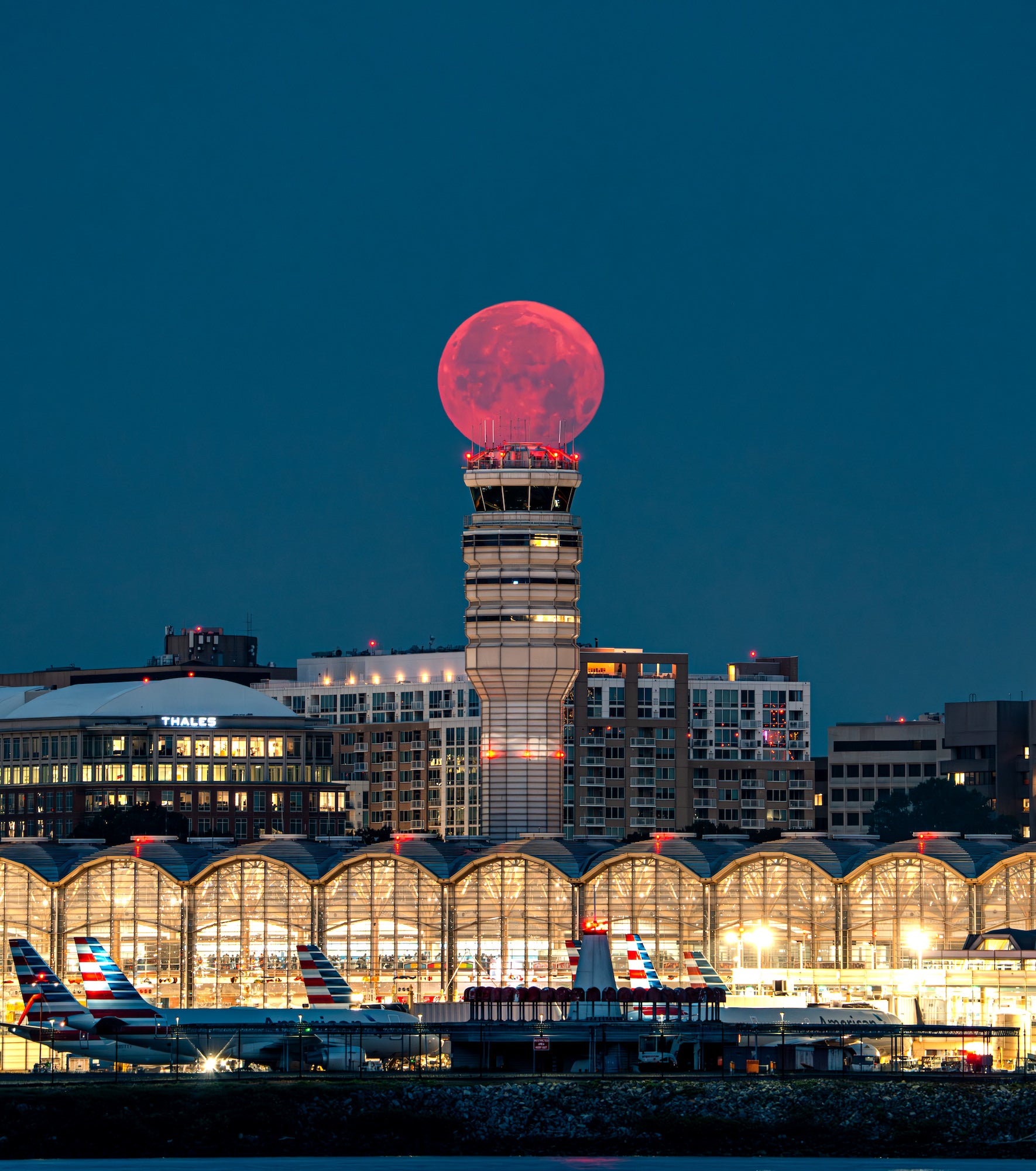 Photo by Drew Geraci. Sony Alpha 1 II. Sony 200-600mm f/5.6-6.3 G. Photo by Drew Geraci. Sony Alpha 1 II. Sony 200-600mm f/5.6-6.3 G.