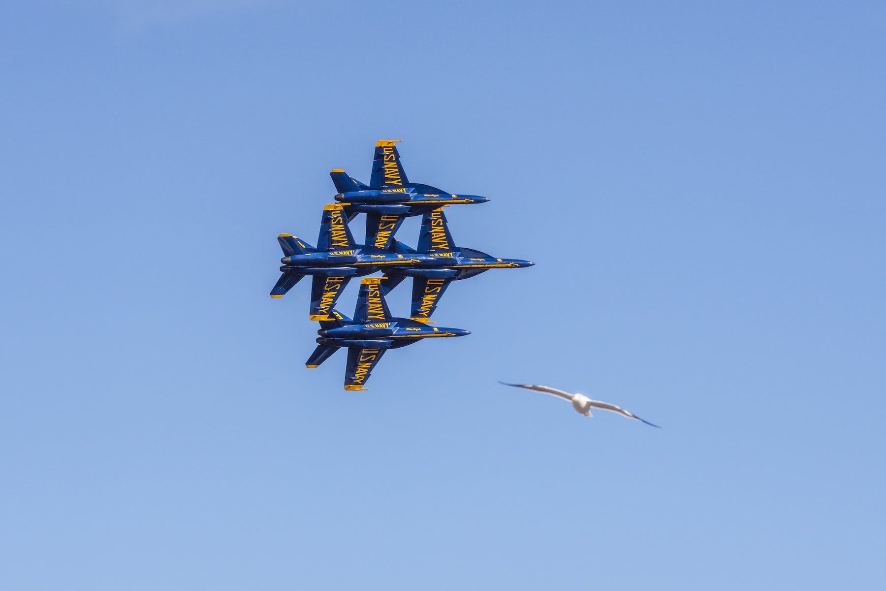 https://alphauniverseglobal.media.zestyio.com/Alpha-Universe-BTS-Fleet-Week-Andrew-Eggers-6.jpg?height=1200&fit=bounds