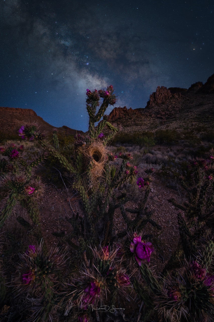 Photo by Michael Simmons. Sony Alpha 7R V. Sony 12-24mm f/2.8 G Master. Foreground: .5-sec., f/2.8, ISO 2000 Background: 321-sec., f/3.5, ISO 640