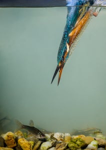 https://alphauniverseglobal.media.zestyio.com/Alpha-Universe-BTS-Photo-By-Pep-Gasso--1.jpg?height=300&fit=bounds