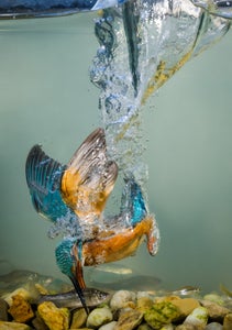 https://alphauniverseglobal.media.zestyio.com/Alpha-Universe-BTS-Photo-By-Pep-Gasso--2.jpg?height=300&fit=bounds