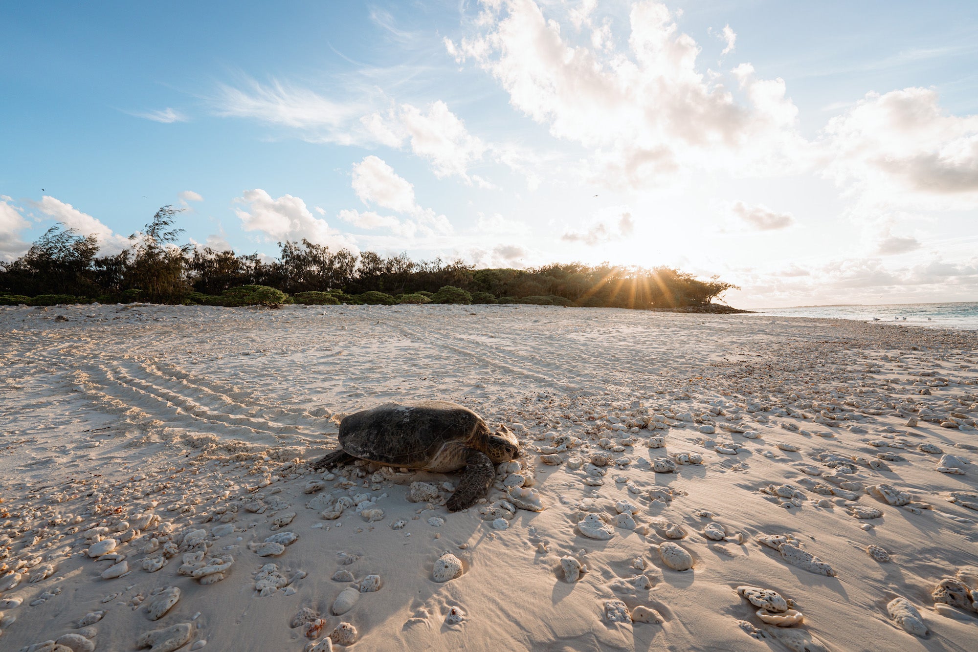 Photo by Ross Long. Sony Alpha 7R III. Sony 14mm f/1.8 G Master. 1/400-sec., f/9, ISO 200