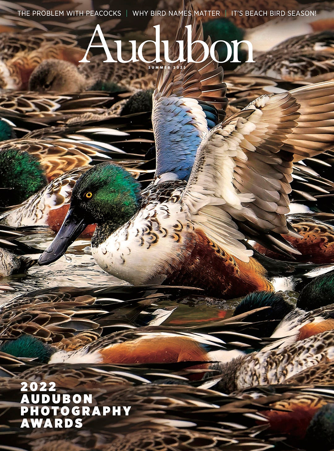 Photo by Steve Jessmore. National Audubon Magazine Cover Photo