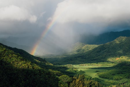 https://alphauniverseglobal.media.zestyio.com/Alpha-Universe-BTS-Vince-Lim-HawaiiLandscape-3.jpg?height=300&fit=bounds