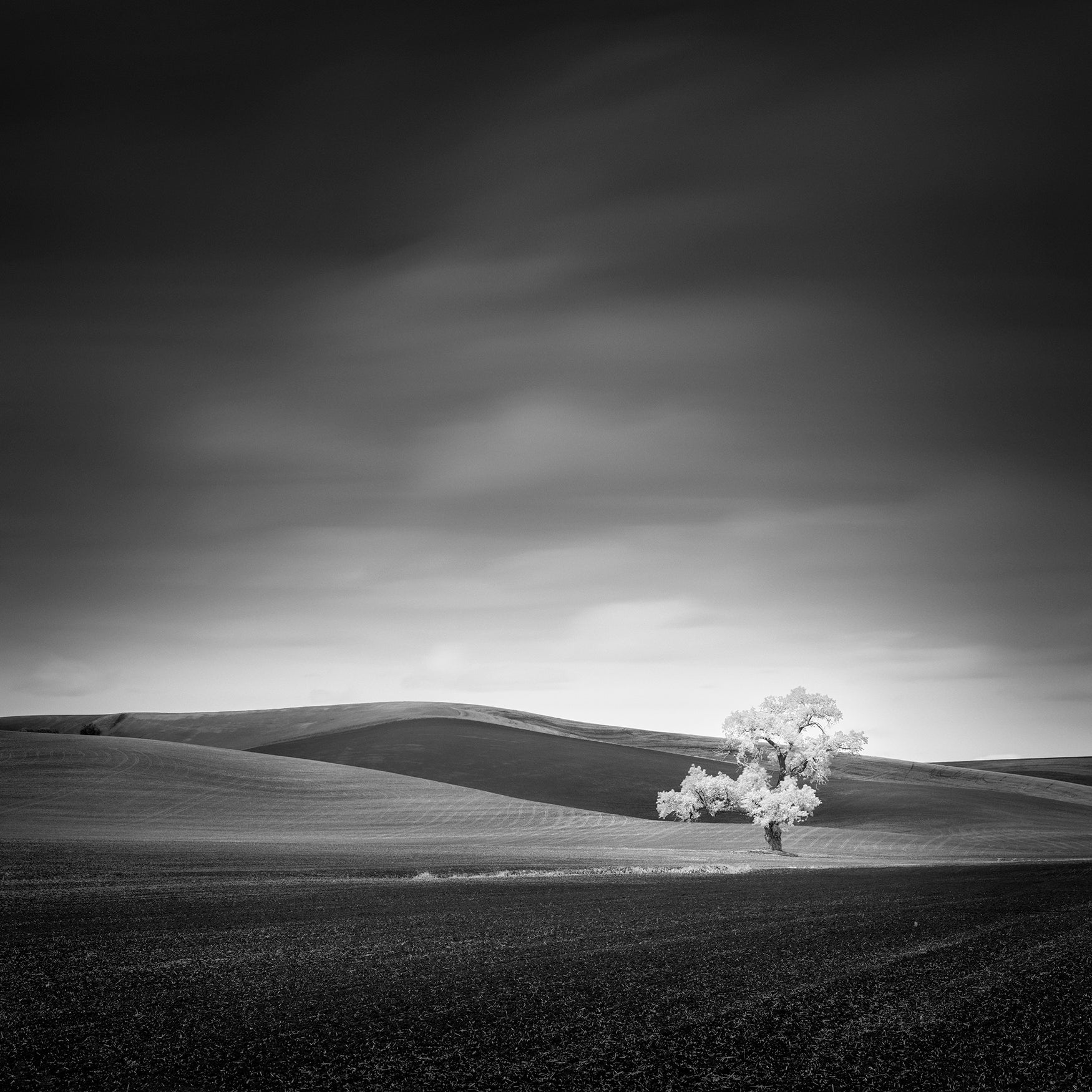 Alpha-Universe-Best-Of-2020-Thibault-Roland.jpg