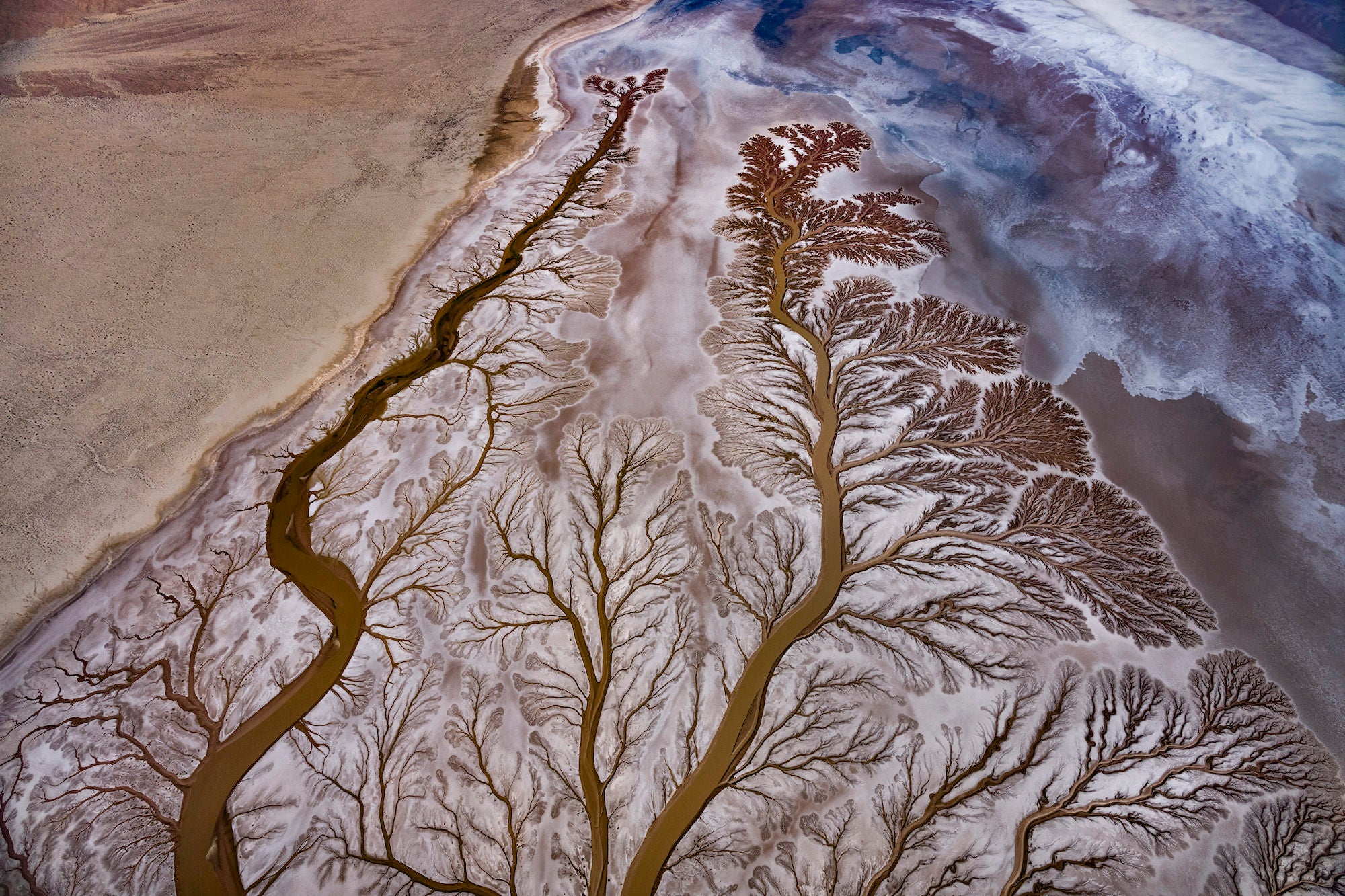 Photo by Paul Nicklen. Sony Alpha 1. Sony 16-35mm f/2.8 G Master. 1/2500-sec., f/5, ISO 400