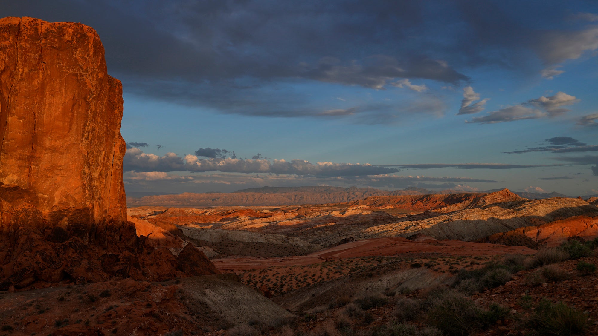 Photo by Patrick Murphy-Racey. Sony Alpha 7CR. Sony 16-35mm f/4 G PZ. 1/1000-sec., f/4, ISO 100