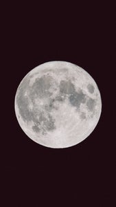 https://alphauniverseglobal.media.zestyio.com/Alpha-Universe-Best-Of-2023-Phil-Yoon.jpg?height=300&fit=bounds