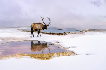 https://alphauniverseglobal.media.zestyio.com/Alpha-Universe-Best-Of-2023-Scott-Kranz.jpg?height=300&fit=bounds