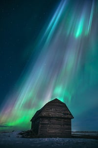 https://alphauniverseglobal.media.zestyio.com/Alpha-Universe-Best-Of-2023-Stevin-Tuchiwsky.jpeg?height=300&fit=bounds