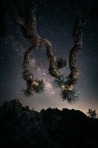 https://alphauniverseglobal.media.zestyio.com/Alpha-Universe-Best-Of-2024-Jude-Allen.jpg?height=300&fit=bounds