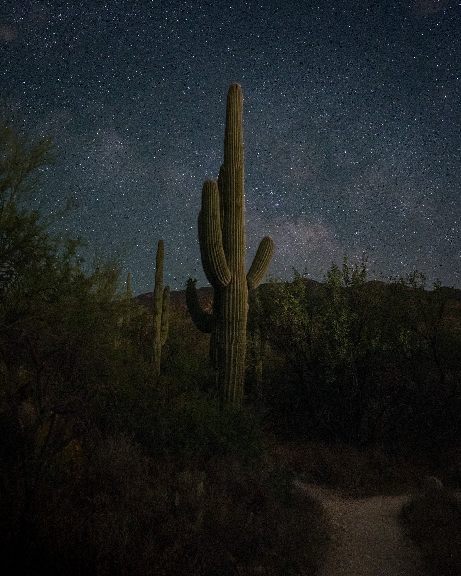 Photo by Michael Hollender. Sony Alpha 7CR. Sony 16-35mm f/2.8 G Master. 10-sec., f/3.2, ISO 5000