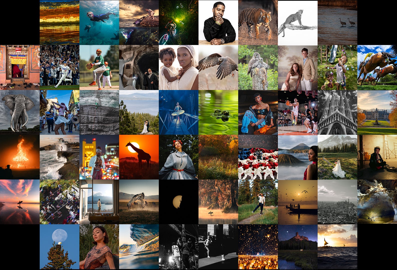 Sony Photographers Share Their Favorite Photos Of 2025 | Sony | Alpha  Universe