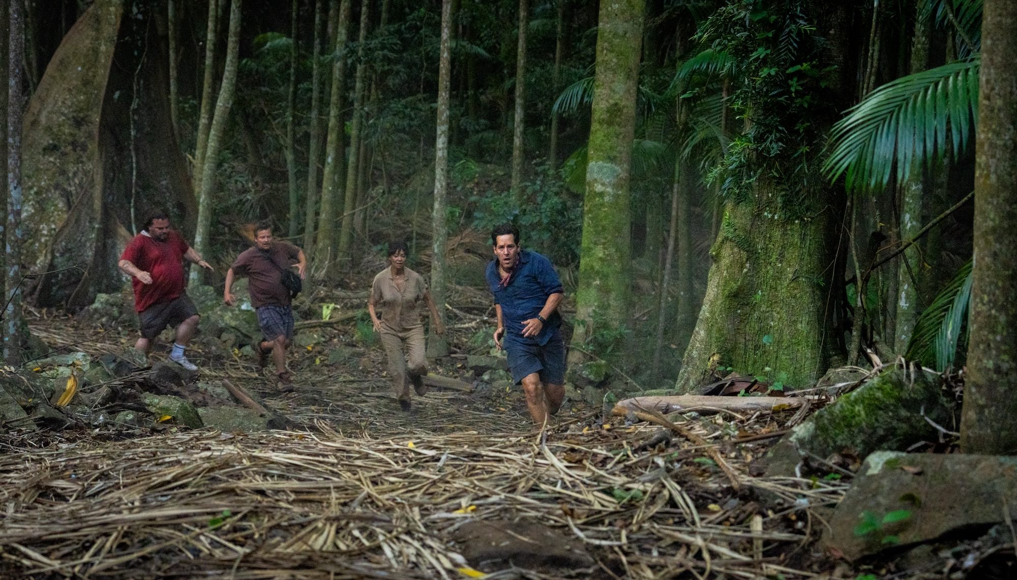Four people running through the jungle in the film Anaconda Four people running through the jungle in the film Anaconda