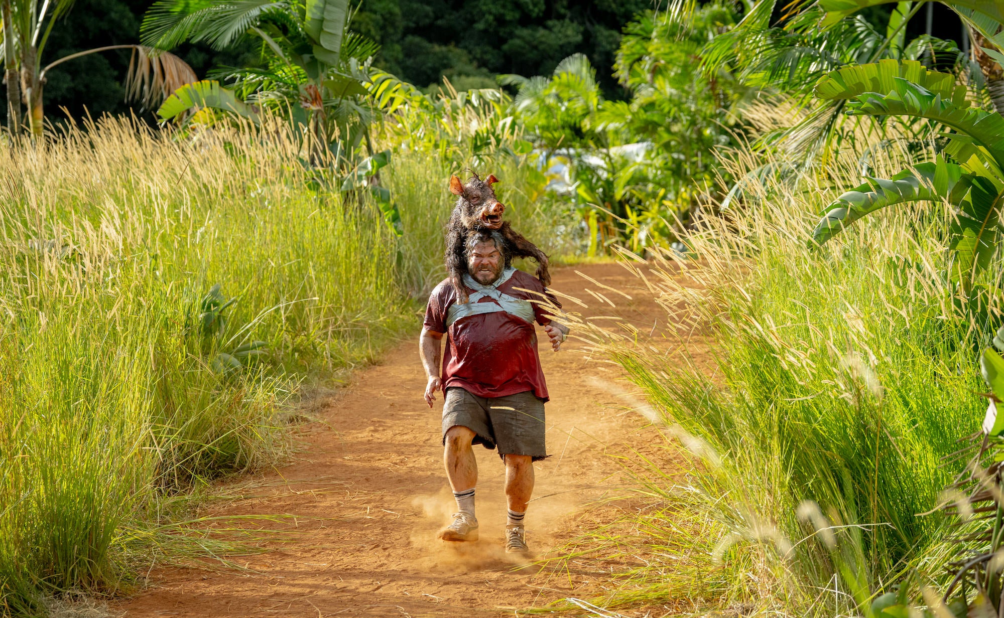 Photo of Jack Black running with a hog on his back from the film Anaconda. Photo of Jack Black running with a hog on his back from the film Anaconda.