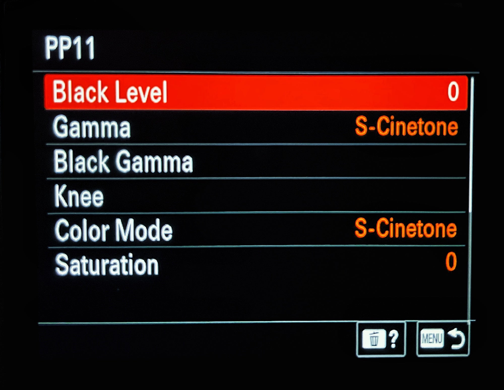 Sal D'Alia's camera setup for cinematic video